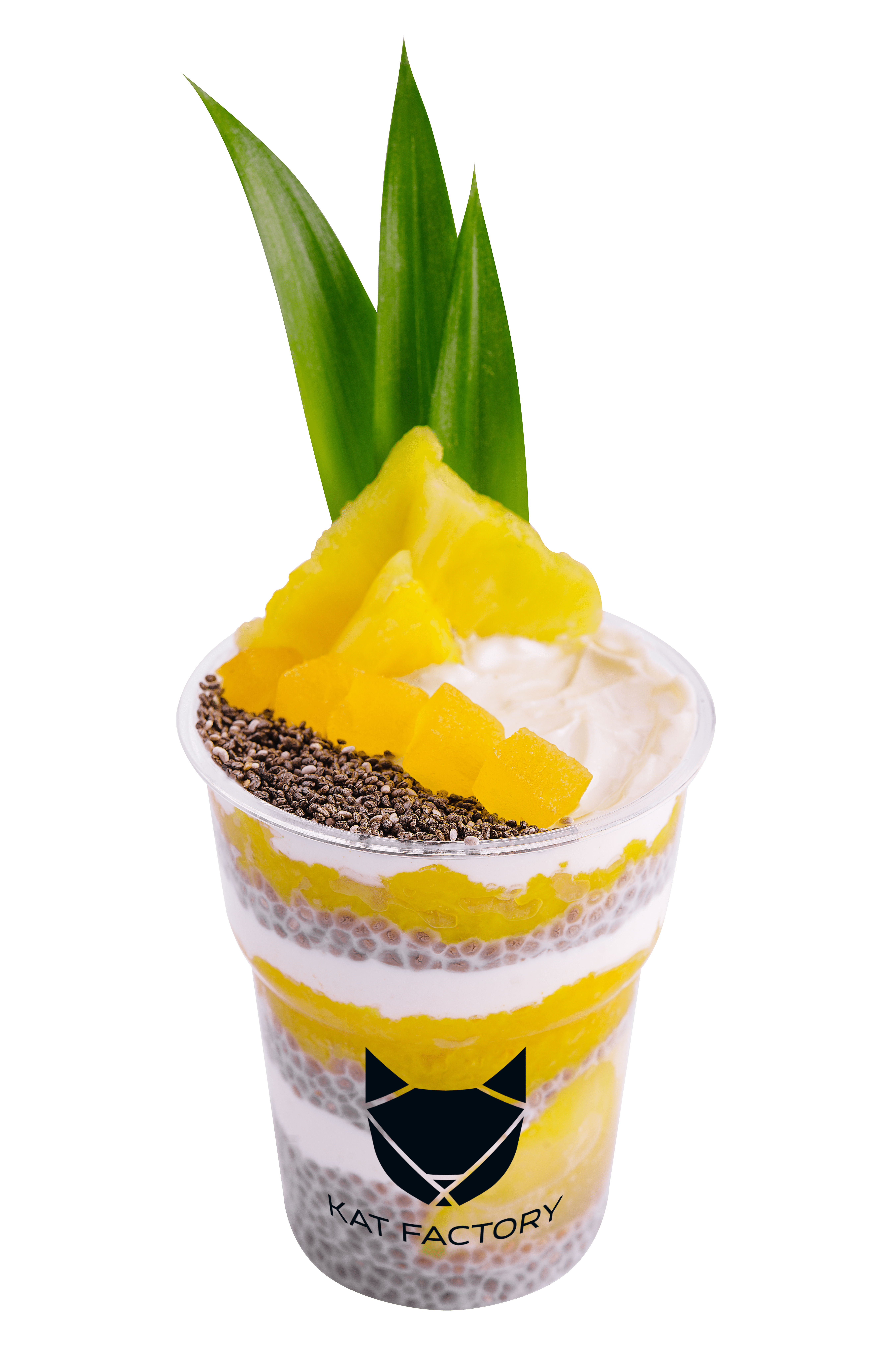 Chia pudding