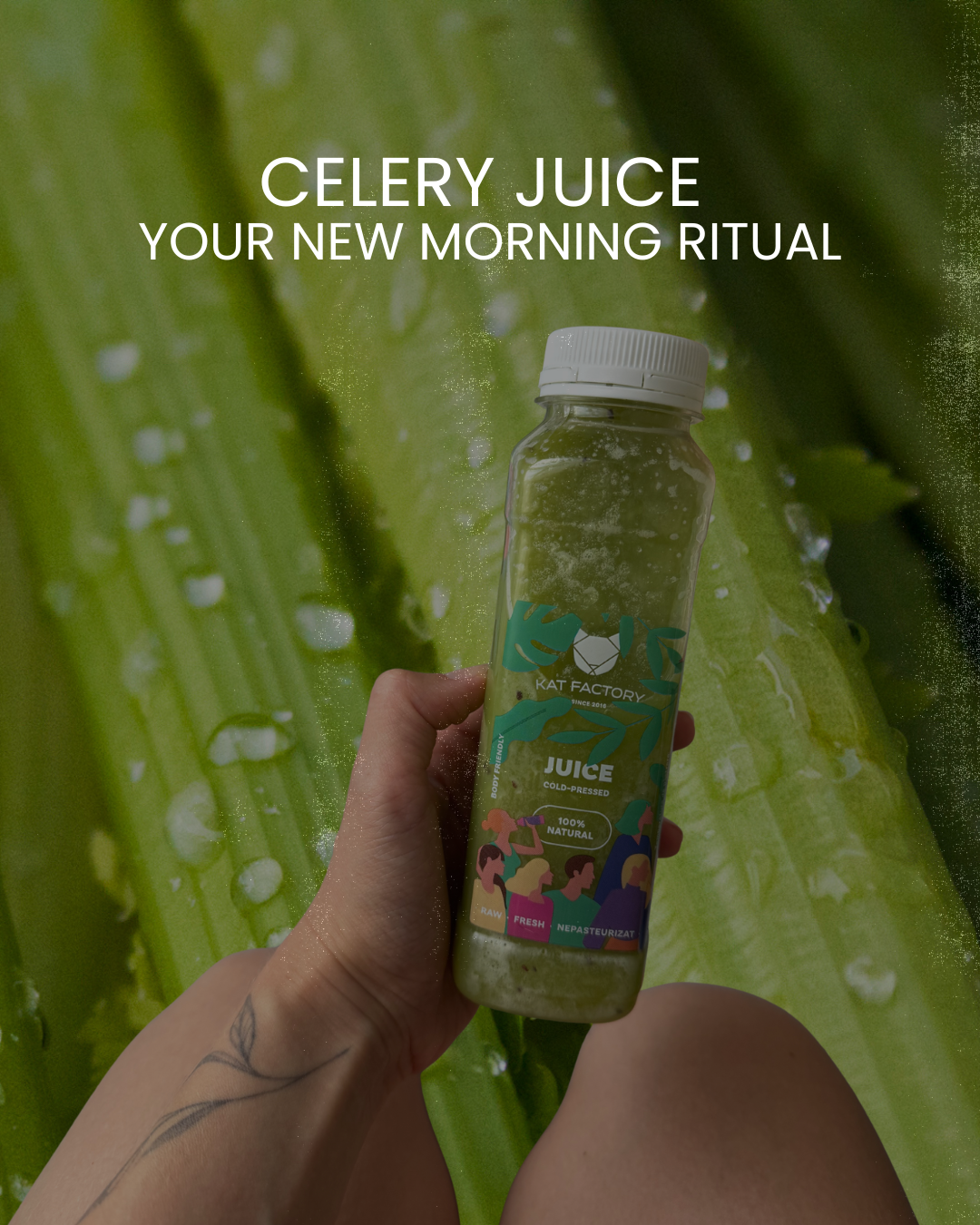 Celery Detox